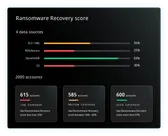 Data risk assessment protection score