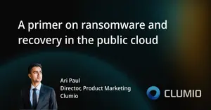 A primer on ransomware and recovery in the public cloud